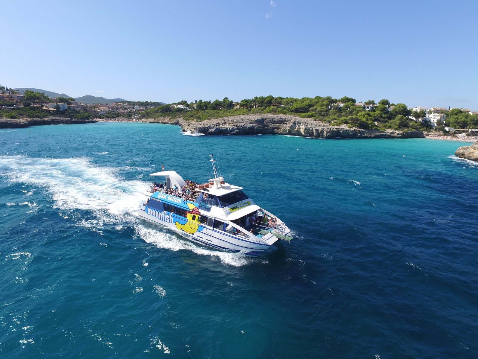 Glass bottom boat Mallorca dolphins